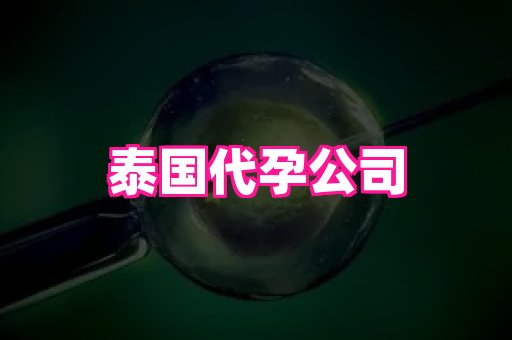 61助孕网 3